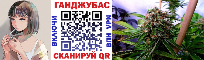 kraken сайт  закладка  Онега  Шишки марихуана семена 